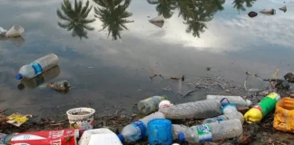 Microplásticos visíveis em água do oceano, representando poluição ambiental.