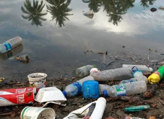 Microplásticos visíveis em água do oceano, representando poluição ambiental.