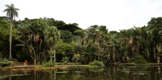 Participante registra mutirão de limpeza durante o Dia Mundial da Limpeza