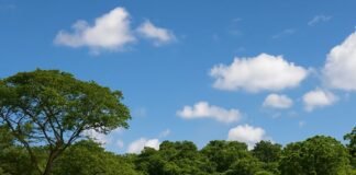 Reserva Particular do Patrimônio Natural com vegetação nativa preservada.