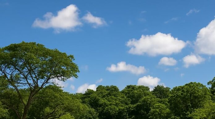 Reserva Particular do Patrimônio Natural com vegetação nativa preservada.