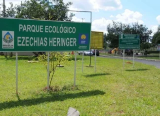 Filha de ambientalista que dá nome a parque no Guará defende preservação do espaço