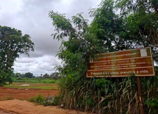 Partes das Áreas 29 e 30 do Parque do Guará são incluídas em PL enviado à Câmara como garantia para capitalizar BRB