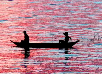 Divulgação TV Brasil