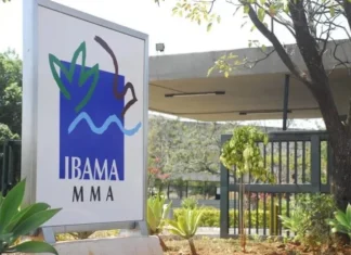 Escola Virtual Do Ibama amplia Acesso a Cursos de Educação Ambiental para o Público Geral