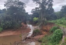 Edital de Recuperação da Vegetação na Bacia do Rio Melquior oferece R$ 8 milhões