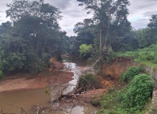 Edital de Recuperação da Vegetação na Bacia do Rio Melquior oferece R$ 8 milhões