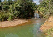 Recuperação da Bacia do Rio Melchior recebe investimento de R$ 8 milhões
