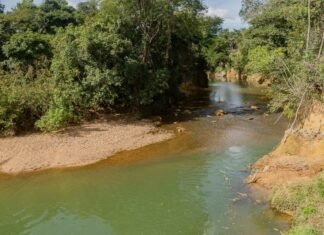 Recuperação da Bacia do Rio Melchior recebe investimento de R$ 8 milhões