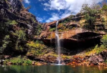 Ataque de onça na Chapada dos Veadeiros fere criança de 8 anos