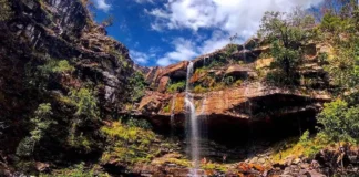 Ataque de onça na Chapada dos Veadeiros fere criança de 8 anos