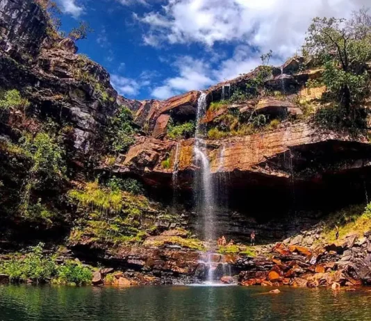 Ataque de onça na Chapada dos Veadeiros fere criança de 8 anos