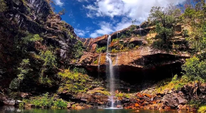 Ataque de onça na Chapada dos Veadeiros fere criança de 8 anos