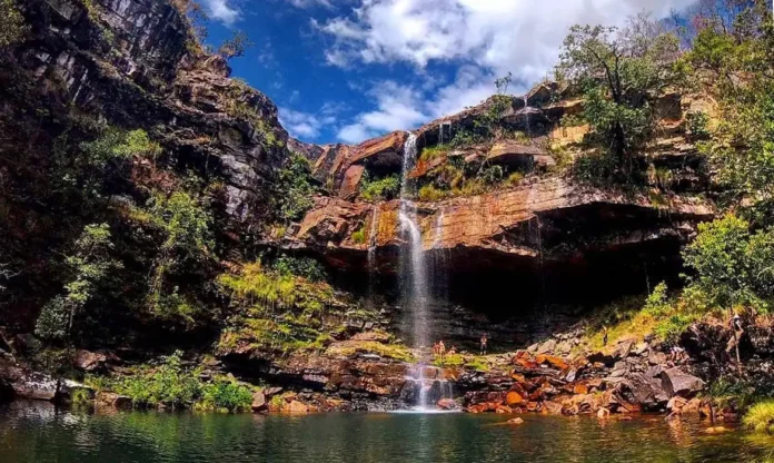ataque-de-onca-na-chapada-dos-veadeiros Ataque de onça na Chapada dos Veadeiros fere criança de 8 anos