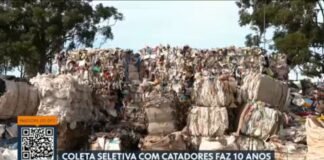 Coleta Seletiva com Cooperativas de Catadores Completa 10 Anos no DF