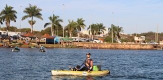 GDF Regulamenta Manejo do Pirarucu para Pesca Sustentável no DF