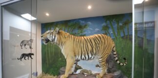 Museu de Ciências Naturais do Zoológico de Brasília reabre com novo acervo e acessibilidade