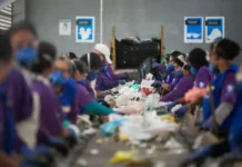 Obrigatoriedade da separação de resíduos sólidos no DF é aprovada pela Câmara Legislativa