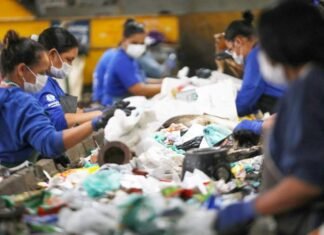 Sustentabilidade ambiental no Distrito Federal lidera ranking nacional de competitividade