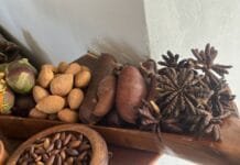 Cerrado em pé vale mais: estudo aponta caminhos para gerar renda com a conservação do bioma