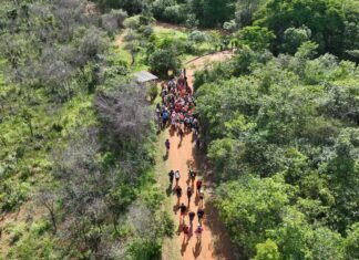 Dia da Caminhada nas Trilhas do DF: Celebração da Conquista Ambiental
