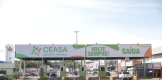 Ceasa-DF no Brasília Qualidade no Campo: Apoio a Produtores Certificados