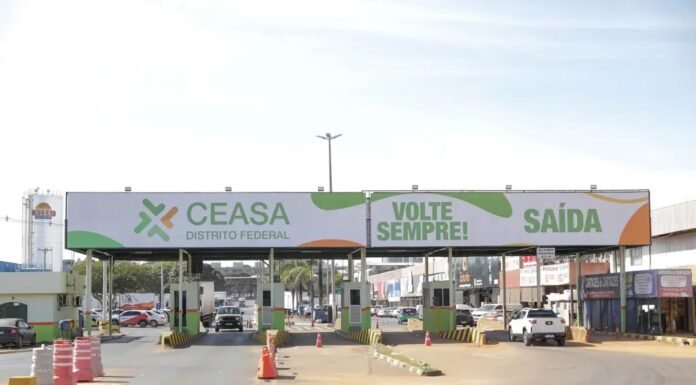 Ceasa-DF no Brasília Qualidade no Campo: Apoio a Produtores Certificados