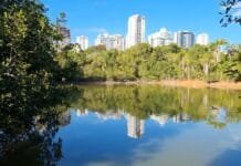 Caminhada Ecológica do Meio Ambiente 2026 promove conscientização e integração com o Cerrado no Parque de Águas Claras
