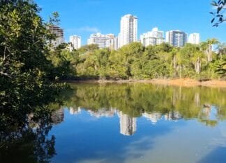 Caminhada Ecológica do Meio Ambiente 2026 promove conscientização e integração com o Cerrado no Parque de Águas Claras