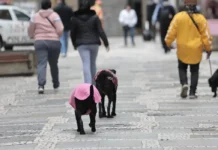 Frente Fria no Sul do Brasil: Alerta de Tempestades e Granizo Frente Fria no Sul do Brasil: Alerta de Tempestades e Granizo