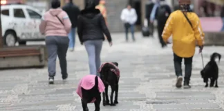 Frente Fria no Sul do Brasil: Alerta de Tempestades e Granizo