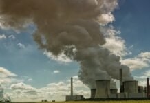 STF Derruba Compra de Créditos de Carbono por Seguradoras: Entenda a Decisão STF Derruba Compra de Créditos de Carbono por Seguradoras: Entenda a Decisão