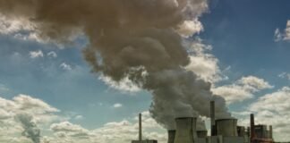 STF Derruba Compra de Créditos de Carbono por Seguradoras: Entenda a Decisão