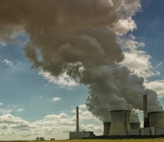 STF Derruba Compra de Créditos de Carbono por Seguradoras: Entenda a Decisão