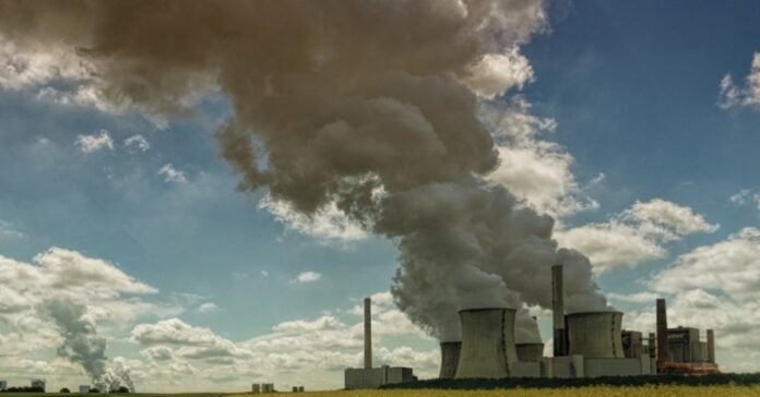 STF Derruba Compra de Créditos de Carbono por Seguradoras: Entenda a Decisão