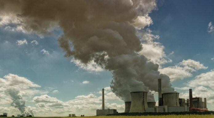 STF Derruba Compra de Créditos de Carbono por Seguradoras: Entenda a Decisão