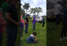 Tempo de Plantar no Cerrado: 8 Anos de Regeneração e Esperança Tempo de Plantar no Cerrado: 8 Anos de Regeneração e Esperança