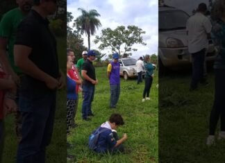 Tempo de Plantar no Cerrado: 8 Anos de Regeneração e Esperança Tempo de Plantar no Cerrado: 8 Anos de Regeneração e Esperança