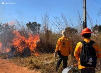 Queima de lixo e vegetação é crime ambiental e eleva risco de incêndio durante o período de seca